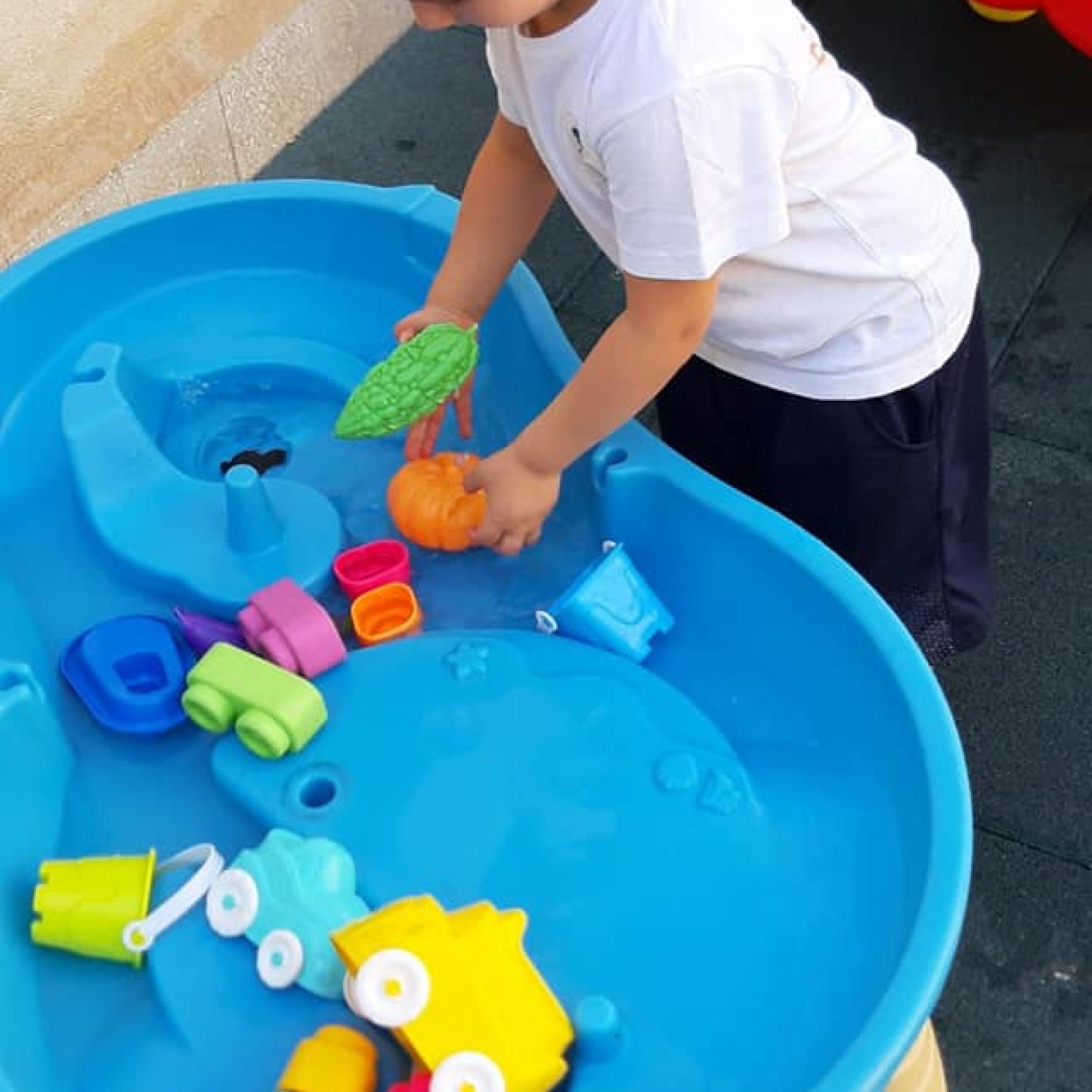 293662207_3262980823949046_7705333057244824235_n