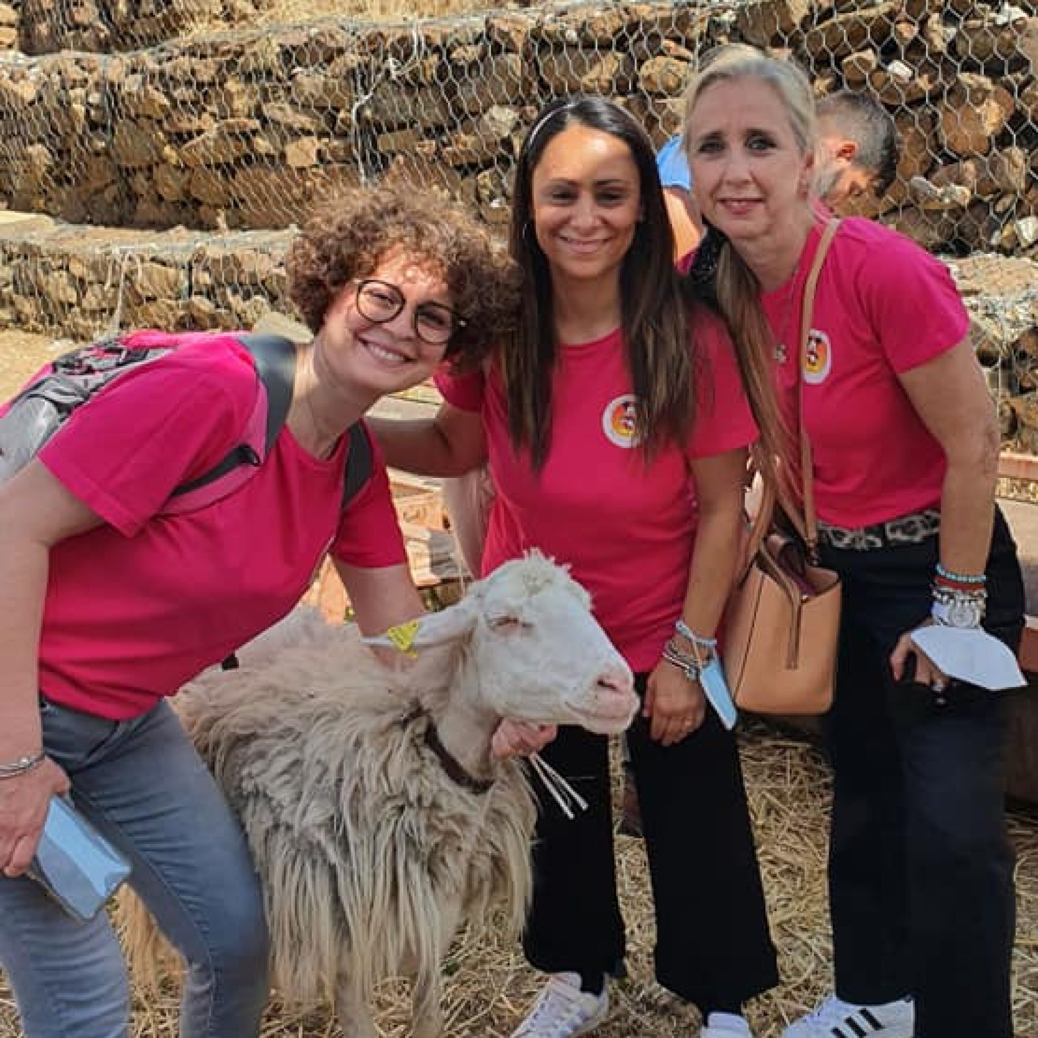 301967946_3299685143611947_273550615208489989_n