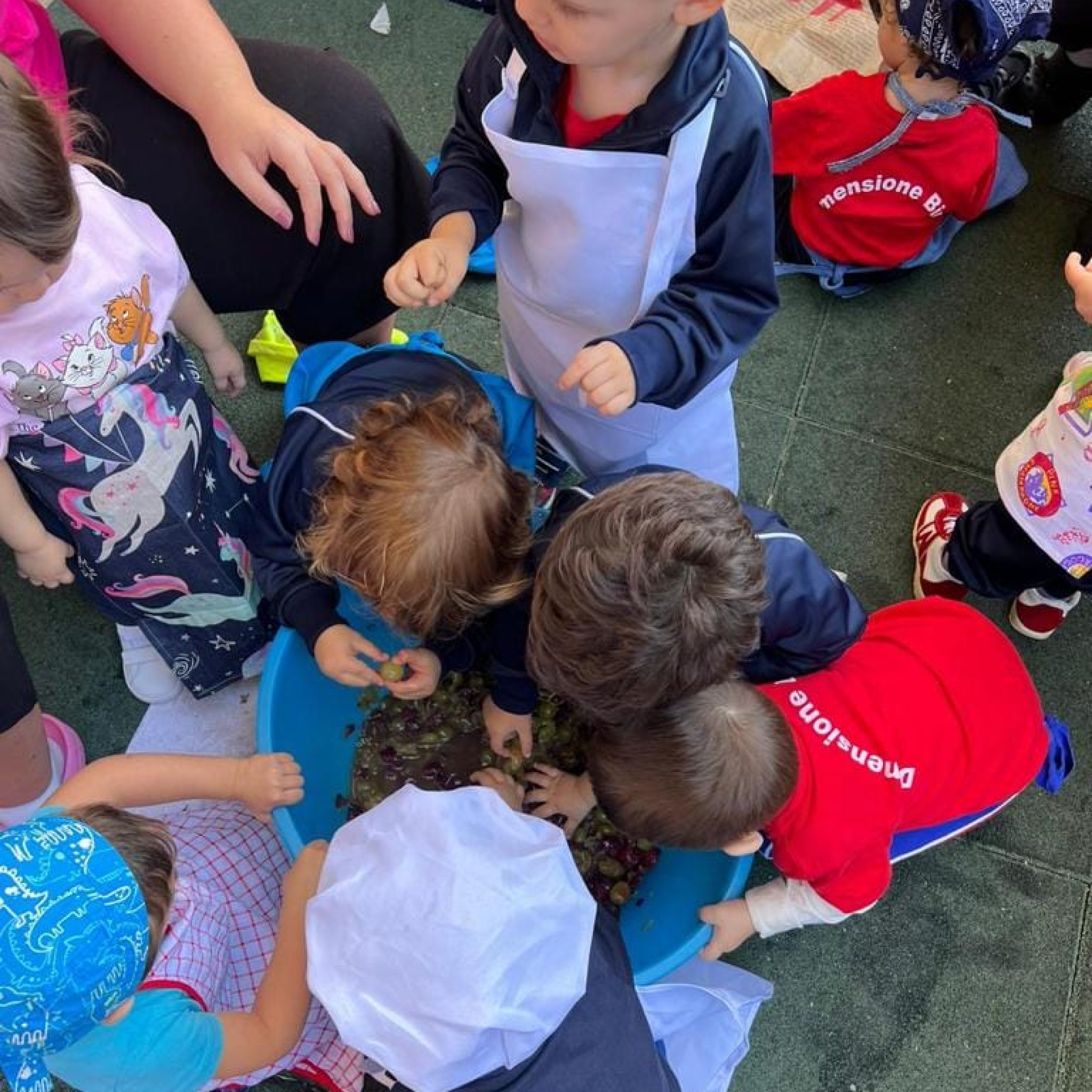 311580083_547583850702651_5589701930245722477_n