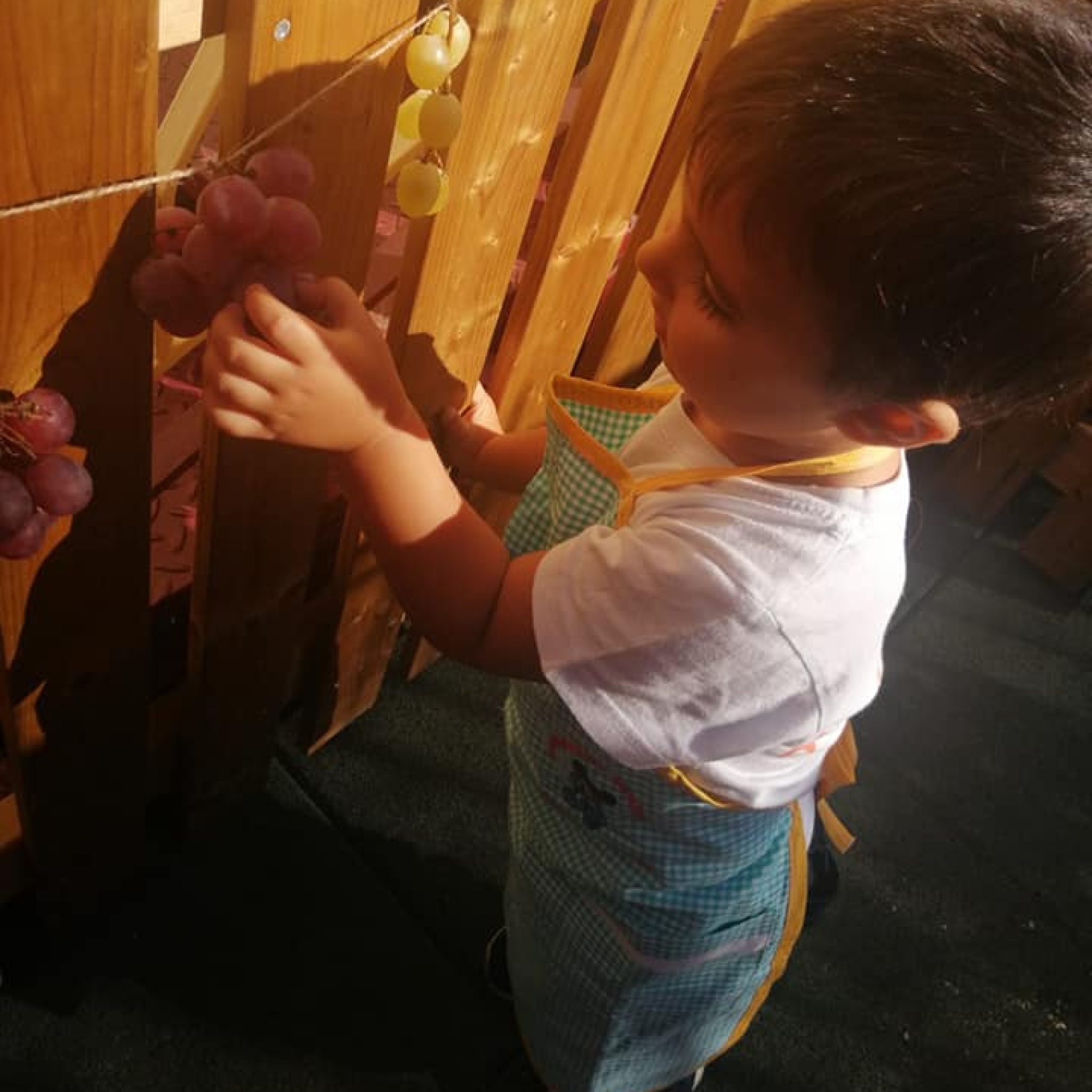 311662817_546626427465060_4293116052115400520_n