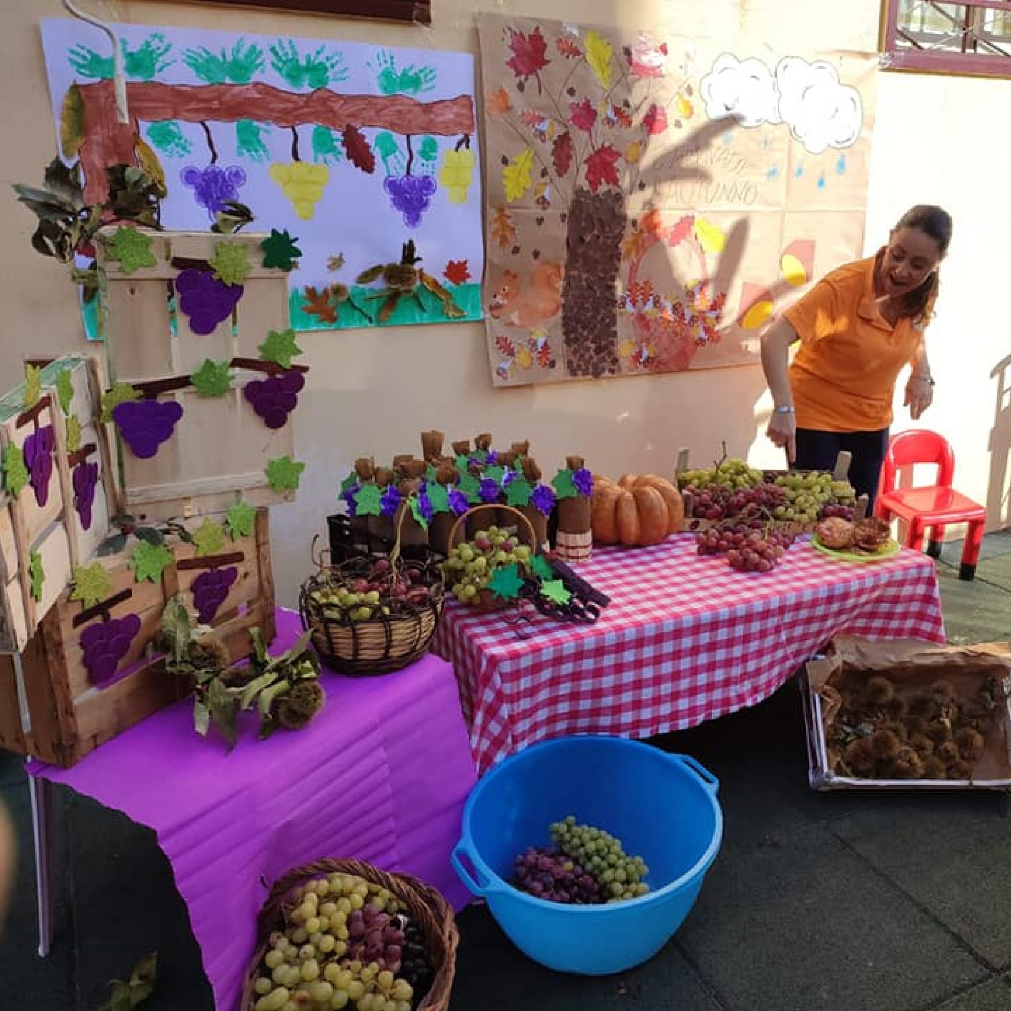 312409234_546628670798169_236287418255607613_n